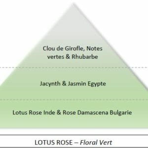 Huile pour le corps “Fleurs d’eau “Lotus rose” parfum 100 % naturel